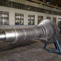 Rotor of steam turbine